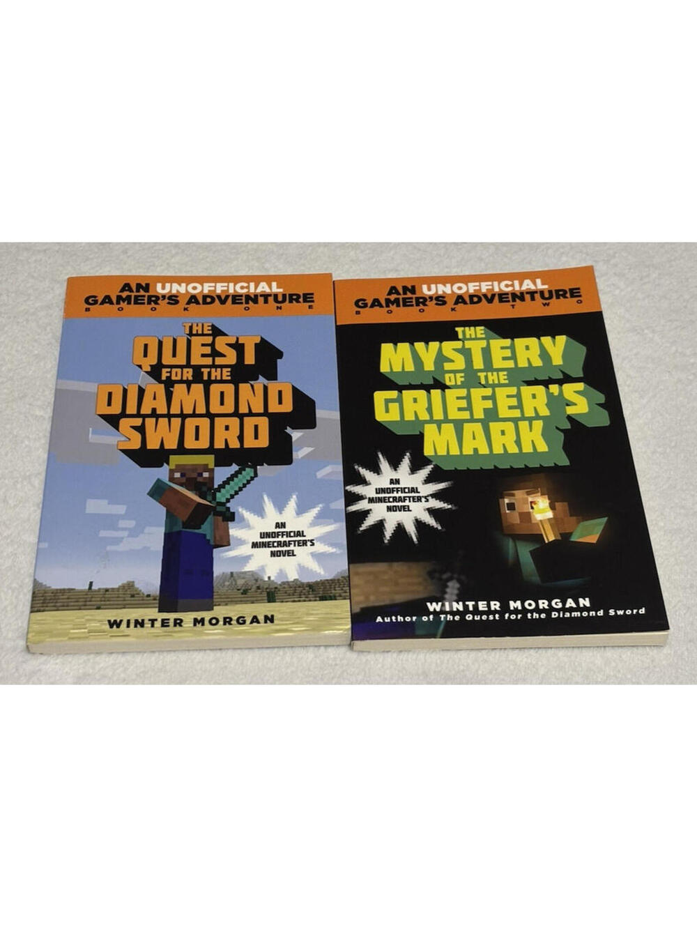 Minecraft Gamer Adventure Books by Winter Morgan || lot of 2